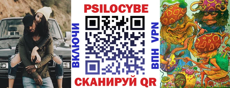 Псилоцибиновые грибы Psilocybe  Амурск 